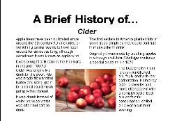 Brief History